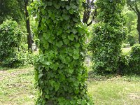 Itt nem azonosítható